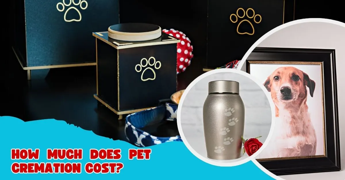 Pet Cremation Cost