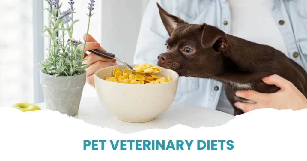 Veterinarian checking pet food for a healthy diet