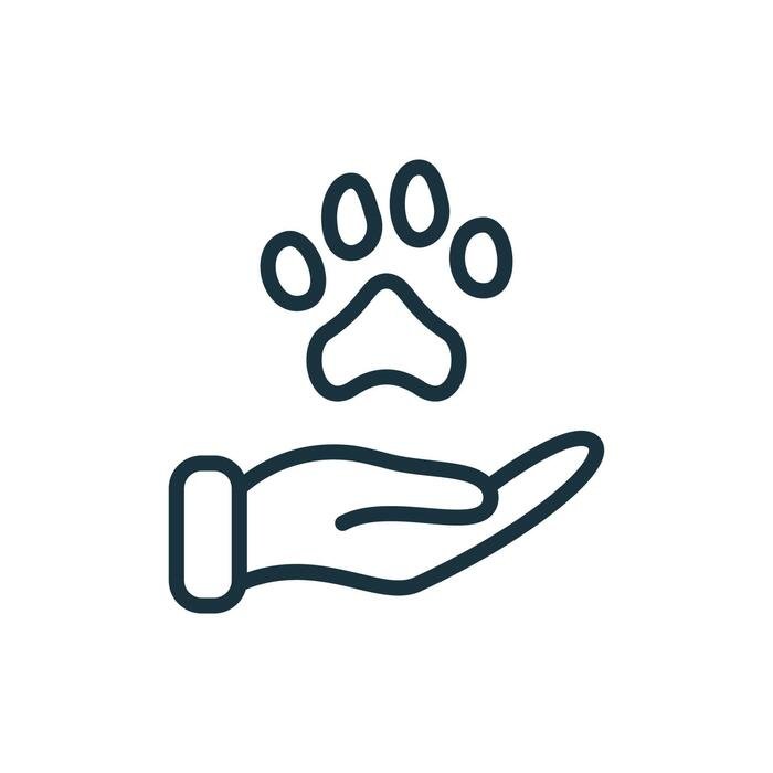 Pet symptom checking illustration