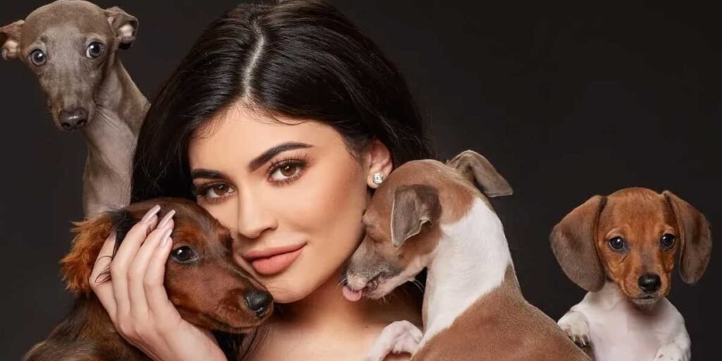 Kylie Jenners Dogs