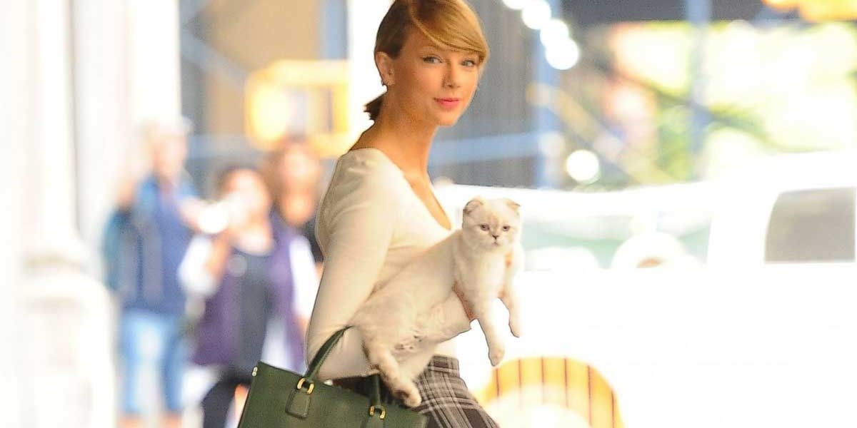 Taylor Swifts Cats